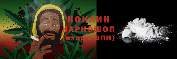 соль ск Саяногорск