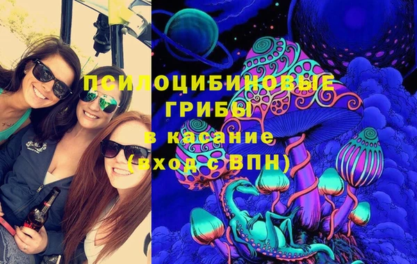 МДПВ Сатка